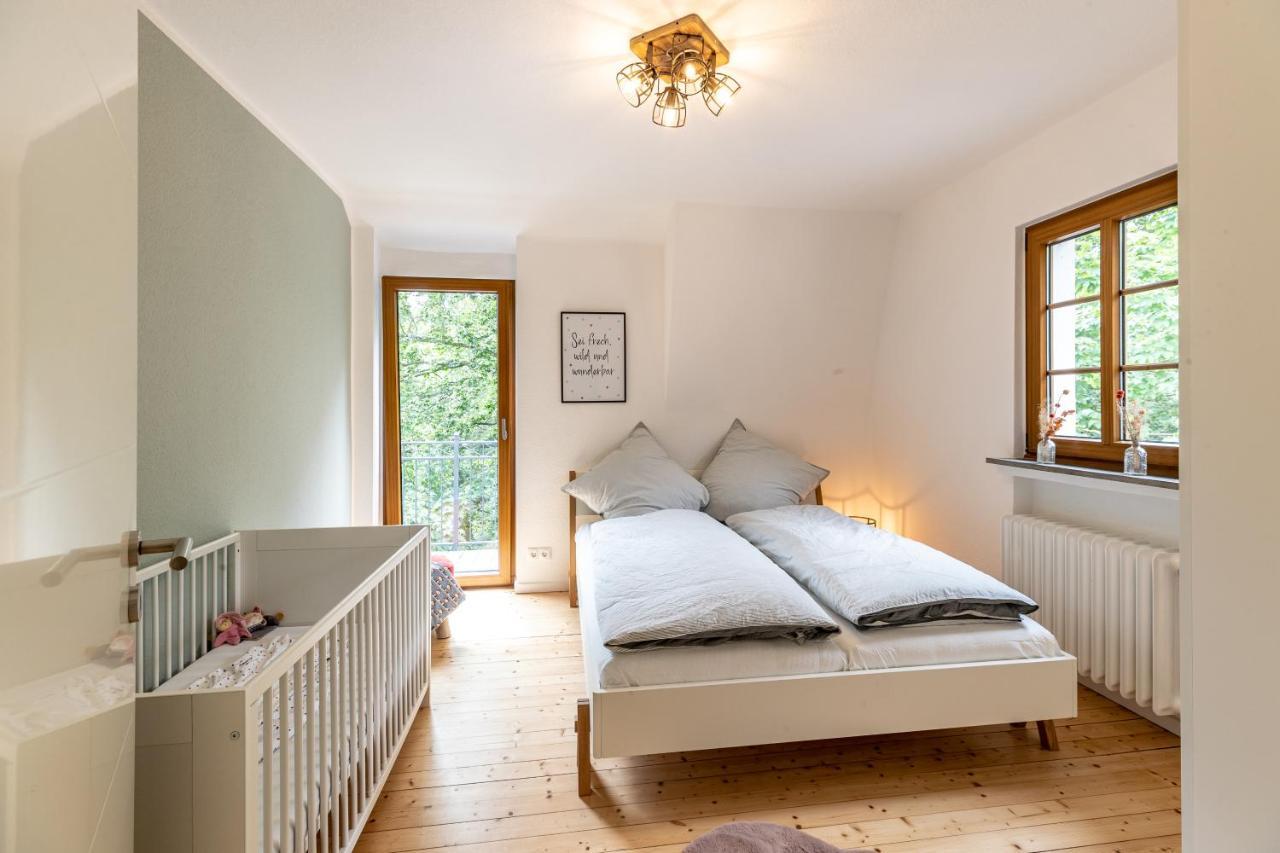 Landhaus Karbach Komplett Oder Einzelne Wohneinheiten Villa Inkl Sauna Bzw Waldhaeuschen Hirten Exterior photo